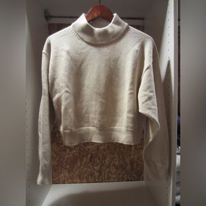 Wilfred free turtleneck sweater